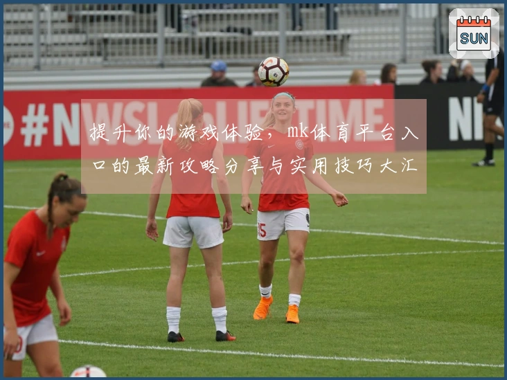 提升你的游戏体验，mk体育平台入口的最新攻略分享与实用技巧大汇总
