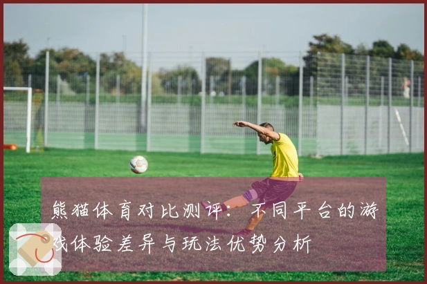 熊猫体育对比测评：不同平台的游戏体验差异与玩法优势分析