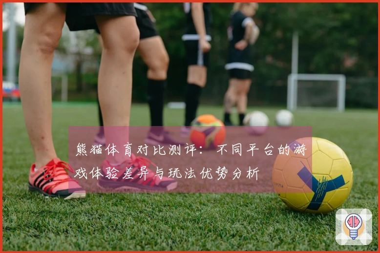 熊猫体育对比测评：不同平台的游戏体验差异与玩法优势分析