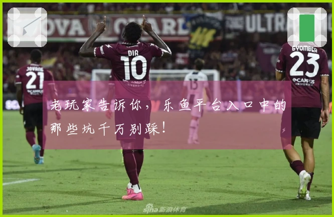 老玩家告诉你，乐鱼平台入口中的那些坑千万别踩！